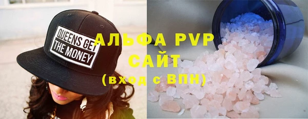 СК Алексин