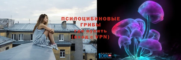 СК Алексин
