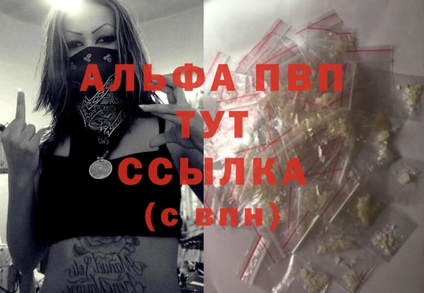СК Алексин