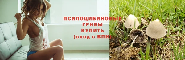 герыч Алексеевка