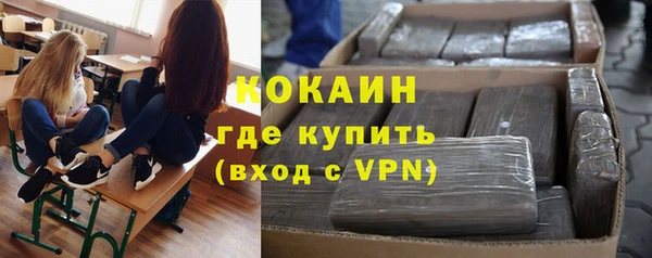 СК Алексин