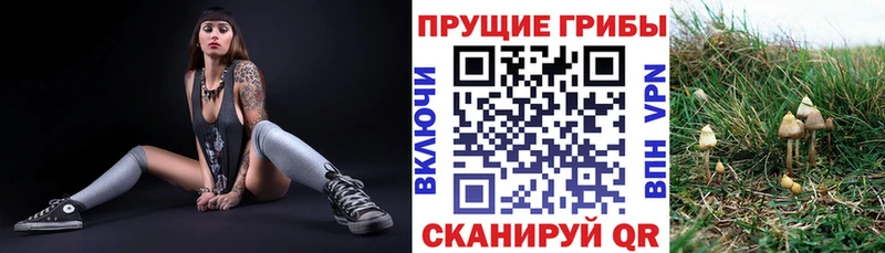 Псилоцибиновые грибы прущие грибы  Бологое 